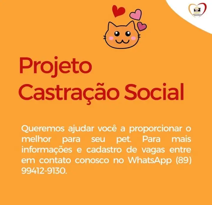 (Foto: Reprodução)