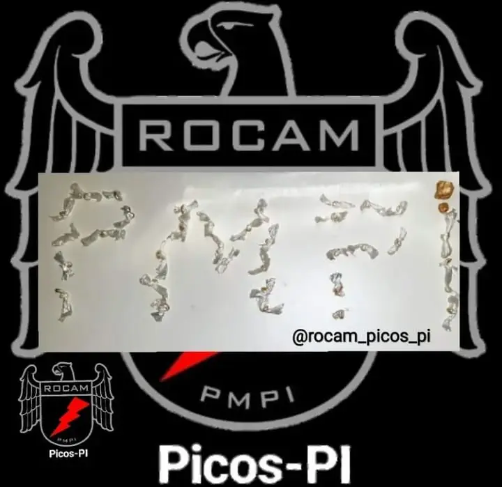 (Foto: Divulgação/ Rocam)