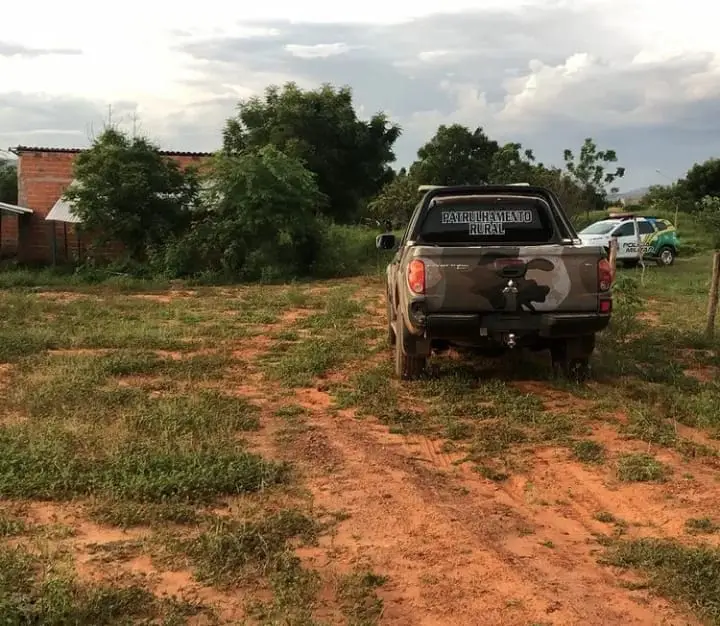 (Foto: Reprodução)