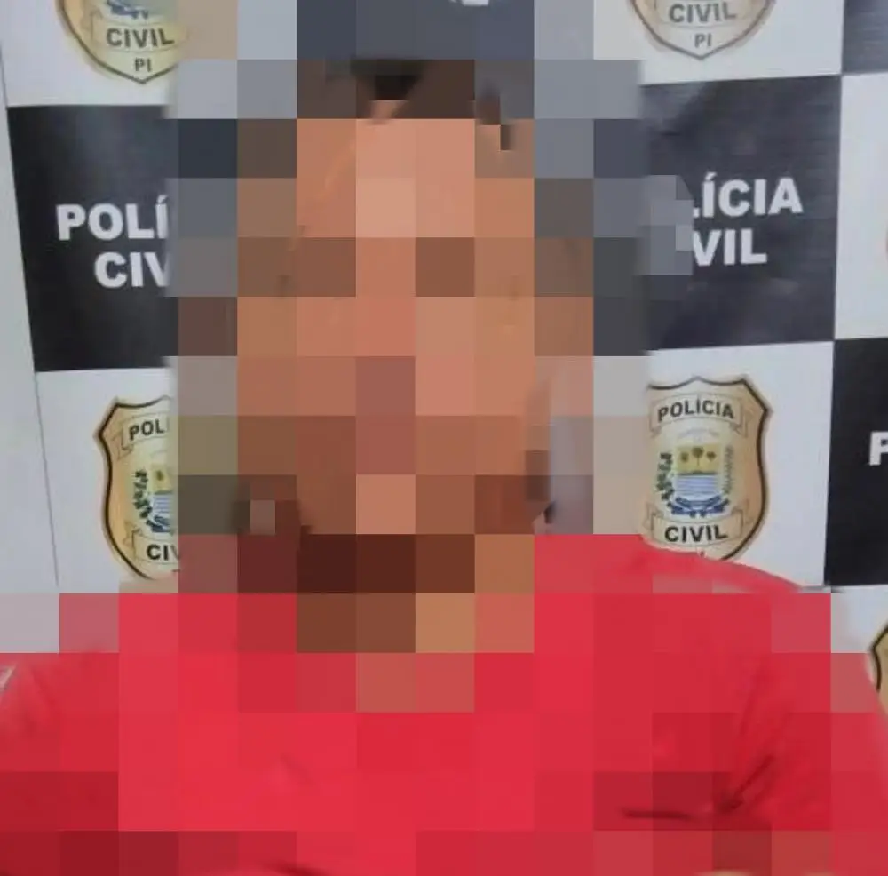 (Foto: Divulgação/ Polícia Civil)
