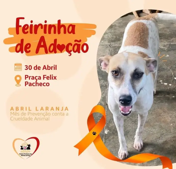 (Foto: Divulgação)