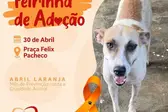 (Foto: Divulgação) (Foto: )