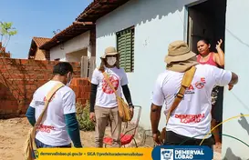 Prefeitura de Demerval Lobão realiza ação de combate a dengue no município  (Foto: )