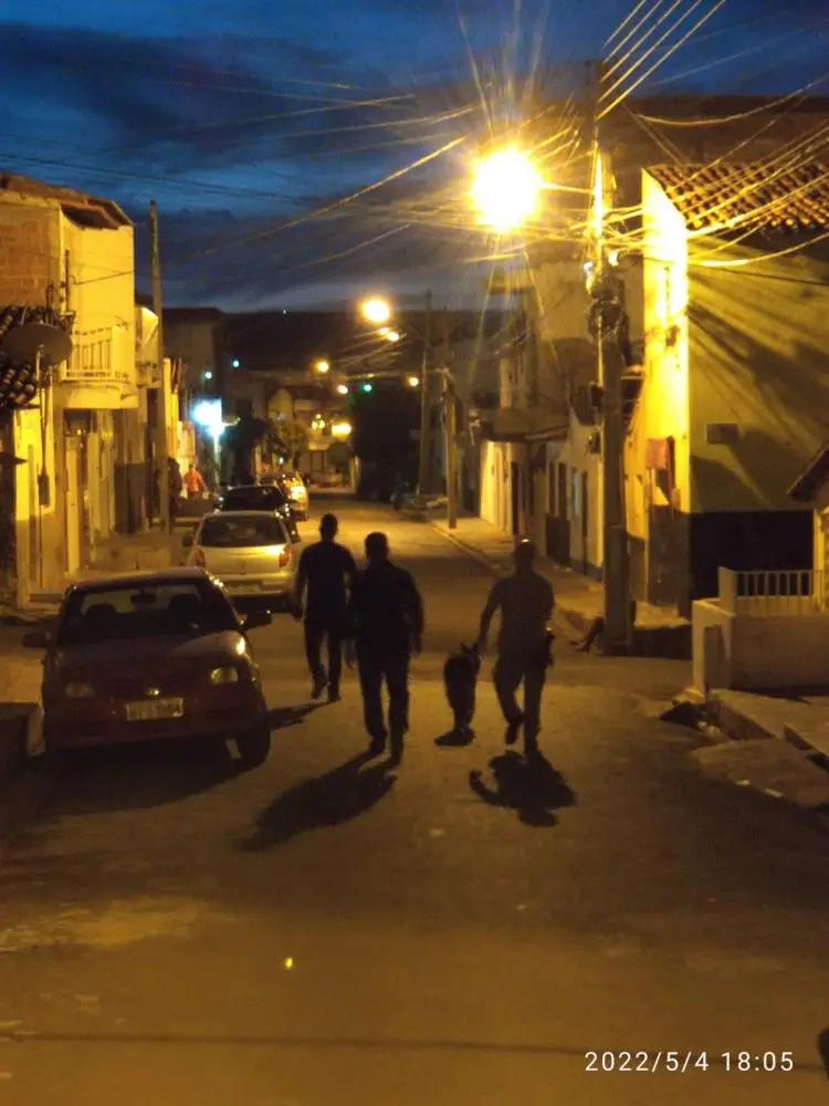 (Foto: Reprodução)