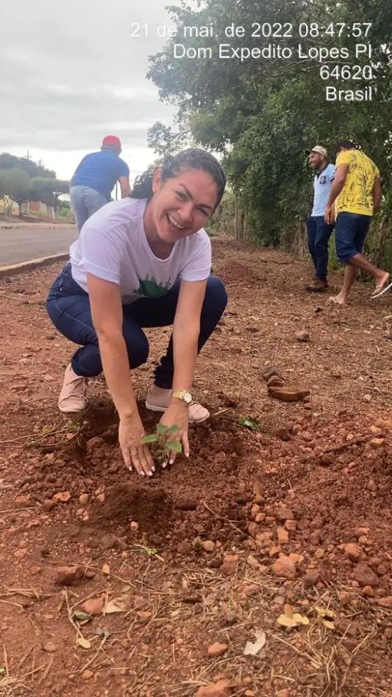 Plantio de ipês no município