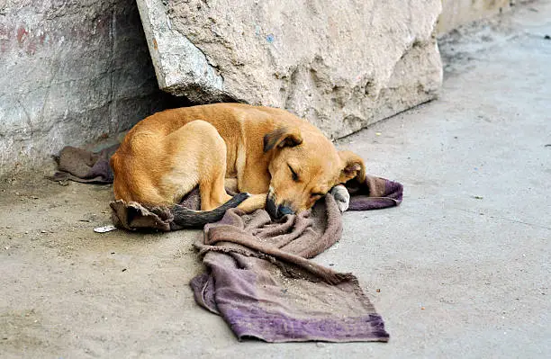 Foto: iStock