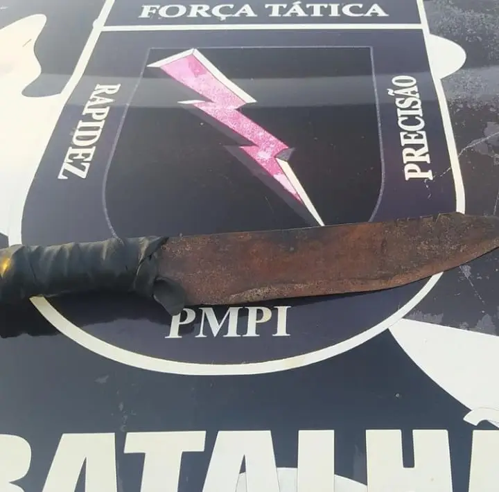 (Foto: Divulgação/PM)