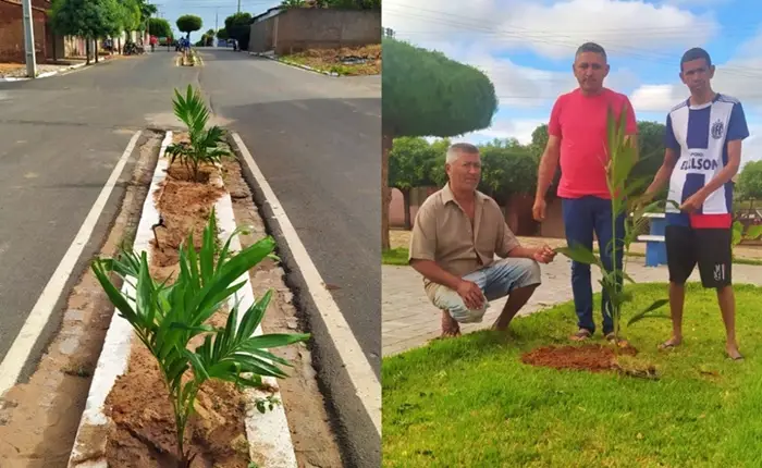 Foto: Cidades na Net
