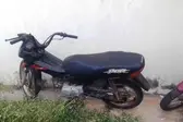  (Foto: Diário do longa )