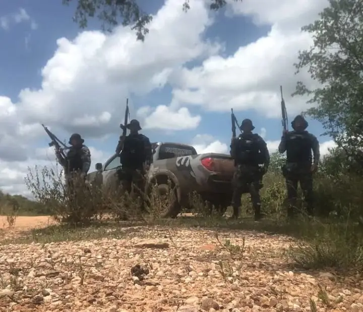 (Foto: Divulgação/PM)