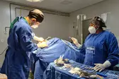 (Foto: Ascom) (Foto: Ascom HRJL)
