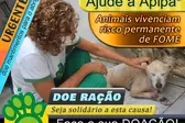 Cartaz da campanha// Foto: Apipa (Foto: )