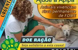 Cartaz da campanha// Foto: Apipa (Foto: )